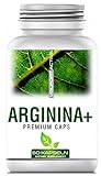 VOLFORT ARGININA+ 60 Premium Caps - L-Arginin - L-Citrullin - L-Ornithin - Vitamin B6 & Magnesium