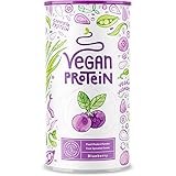Vegan Protein (Blaubeere) - Protein aus Reis, Hanfsamen, Lupinen, Erbsen, Chia-Samen, Leinsamen, Amaranth, Sonnenblumen- und Kürbiskernen - 600 Gramm