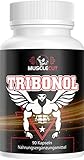 Tribonol - Hardcorde Anabolic Muscle, Muskelaufbau Extrem + Massiv + Booster mit L-Arginin | 90 Kapseln