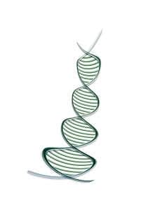 Aminosäure DNA Aminosäuren Matrix